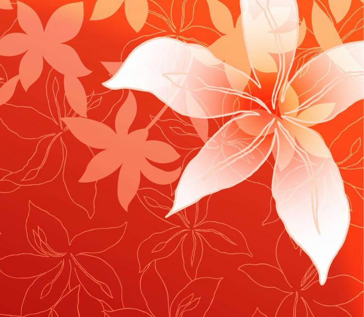 free vector Lily Flowers Vector Graphic